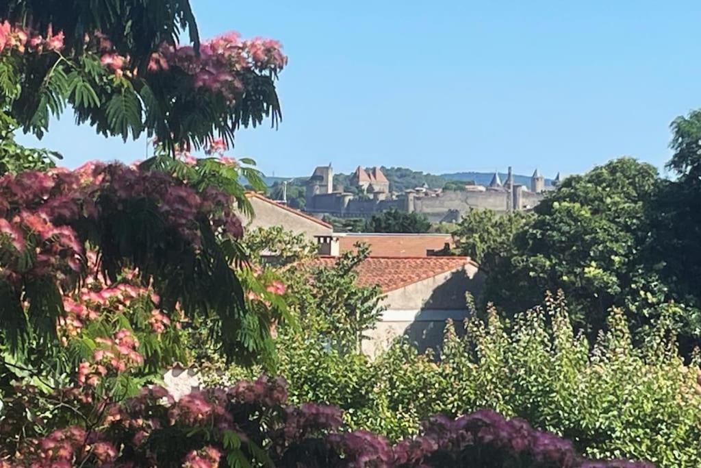 Villa Tamaris Carcassonne Buitenkant foto